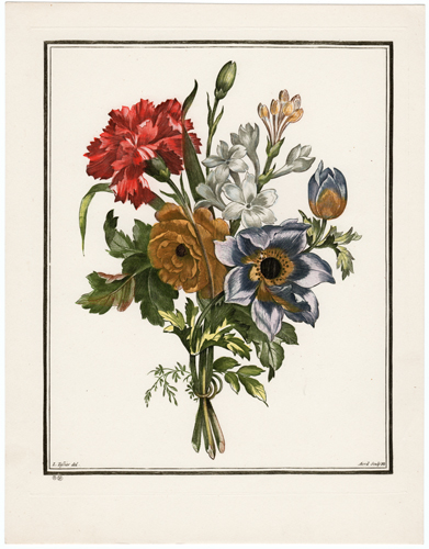 Plate 10
Jacinthe, Narcisse, Souci